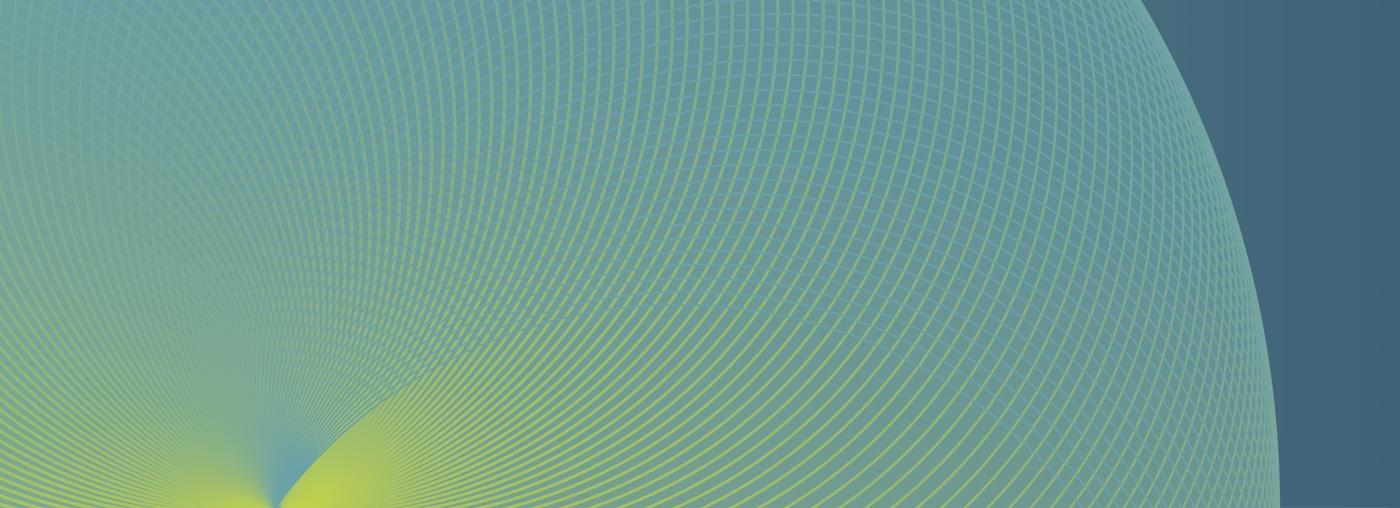 Rapp_NewVisual_D_169x61_5