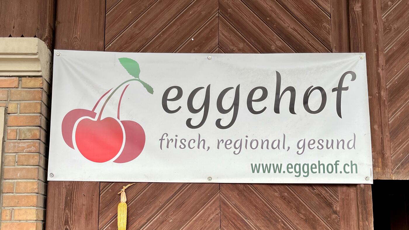 Zwiebelzöpfe_Eggehof