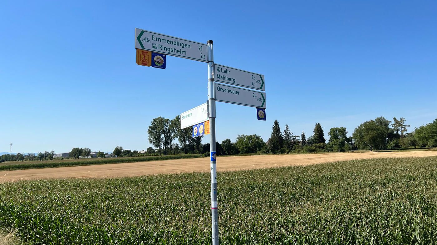 Radverkehrskonzept Oberrhein