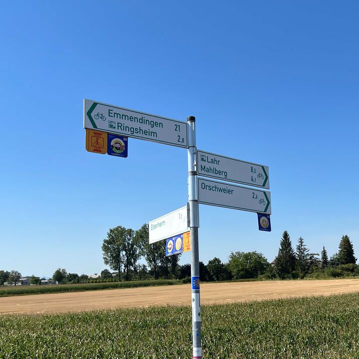 Masterplan Radverkehr Südlicher Oberrhein