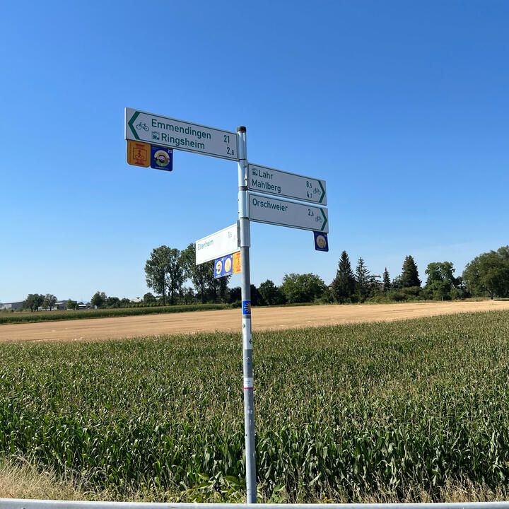 Radverkehrskonzept Oberrhein