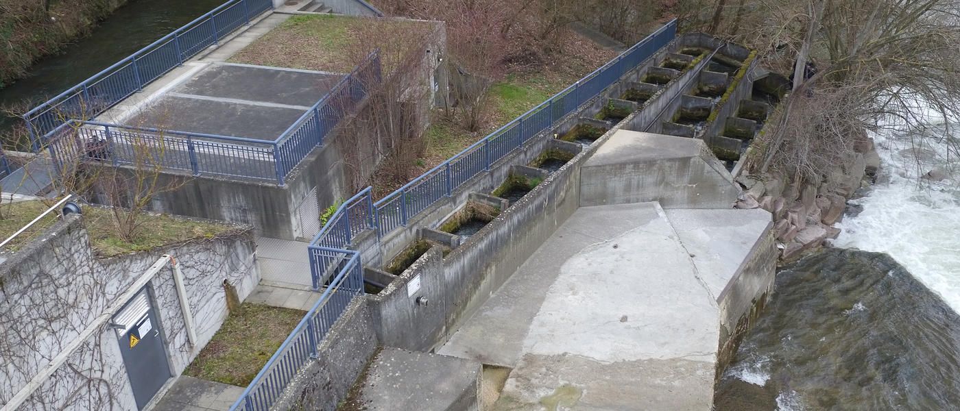 Fischtreppe Neuewelt 00