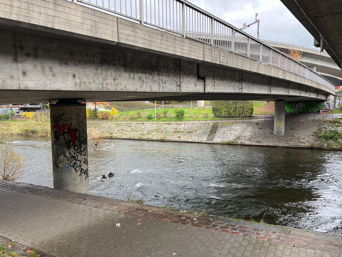 Wiesen