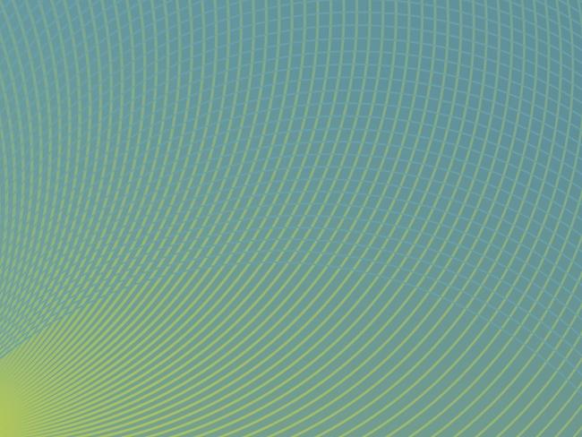 Rapp_NewVisual_D_169x61_5