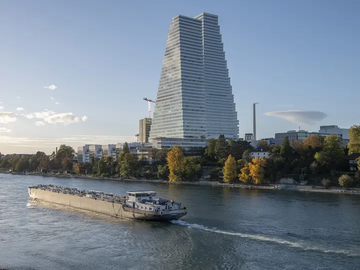INF-Roche Bau 2