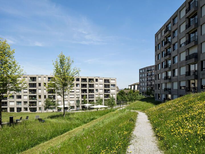Triemli Überbauung
