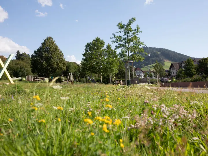 Landesgartenschau