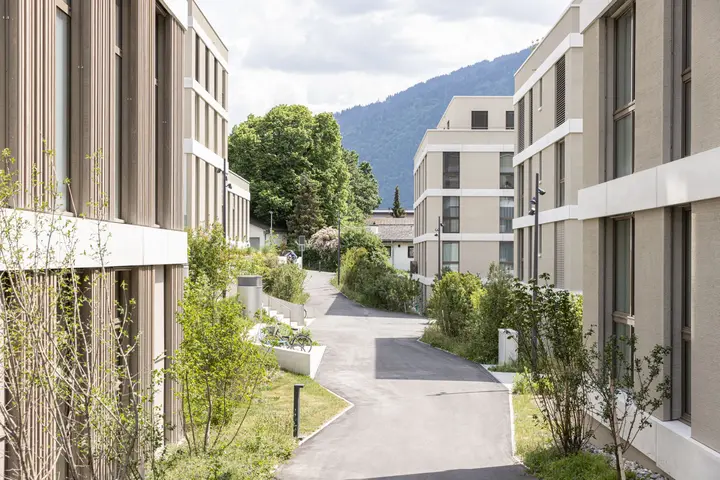 Domenig Immobilien AG