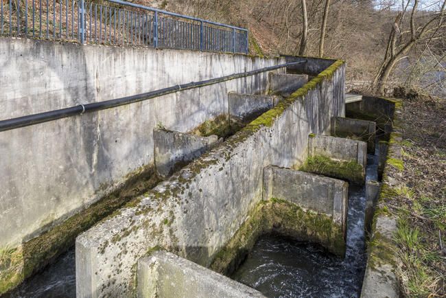 Fischtreppe Neuewelt 01