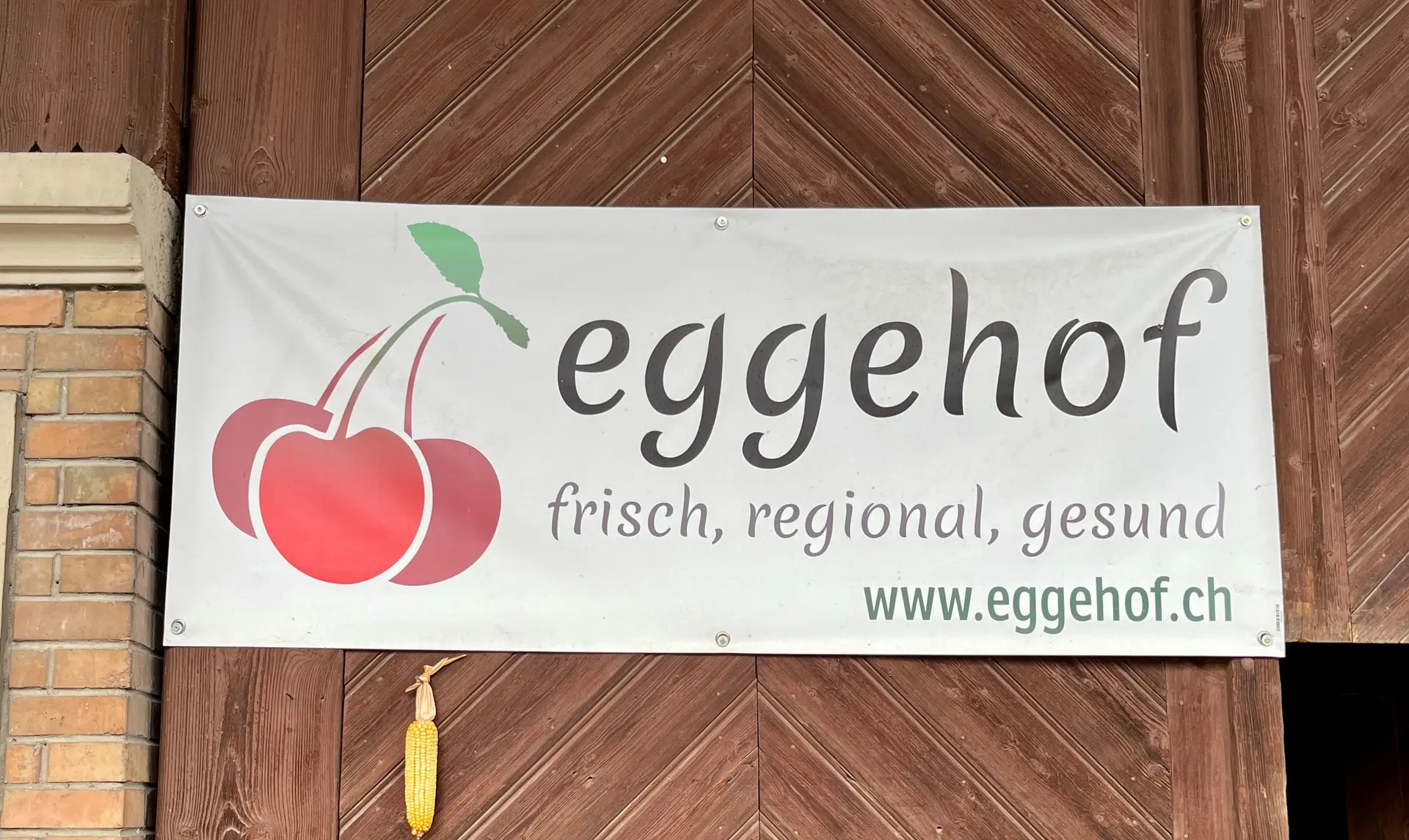 Zwiebelzöpfe_Eggehof